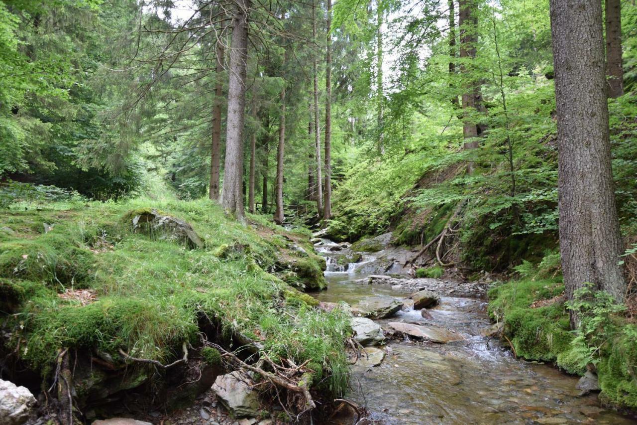 Marschalls Hotel Am Rennsteig Neuhaus am Rennweg Eksteriør billede